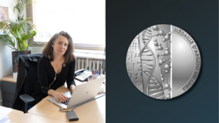 Lire la suite à propos de l’article Sophie Henrot-Versillé, médaillée d’argent CNRS 2026